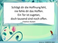 Schlaegt dir die Hoffnung