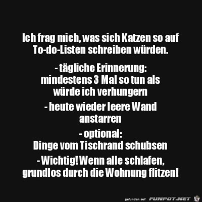 To-do-Liste-von-Katzen.jpg von Lasse