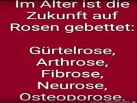 auf Rosen gebettet