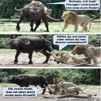 Typisch-Mann.jpg von Lou