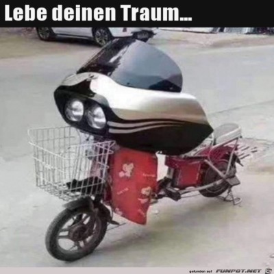 Seinen-Traum-leben.jpg von Ole