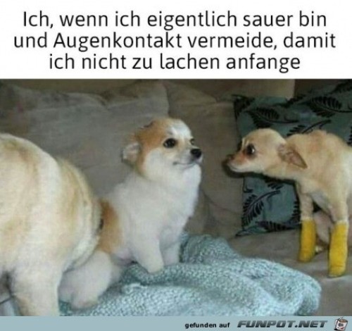 Augenkontakt-vermeiden.jpg auf www.funpot.net