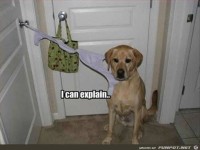 Ich kann das erkl�ren