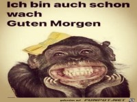 Bin auch schon wach