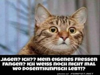 Jagen kann ich nicht