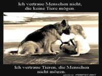 Vertrauen zwischen Mensch und Tier