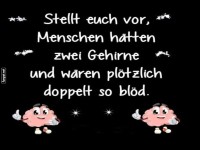 Wenn Menschen zwei Gehirne htten