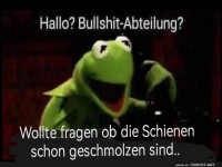 Kermit und die Bullshit-Abteilung