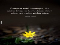 Frhblher mit Weisheitsblick