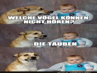 Der Hund und das Baby-Witz-Duo