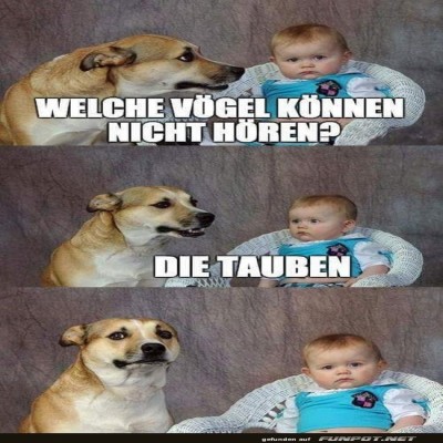 Der-Hund-und-das-Baby-Witz-Duo.jpg von Lydia