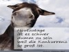 weiter