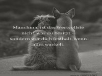 Wenn Hunde philosophieren knnten...