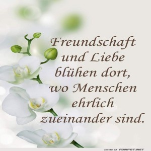 herz-Bild: Eine Blume für die Freundschaft