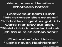 Wenn Hunde und Katzen WhatsApp h�tten
