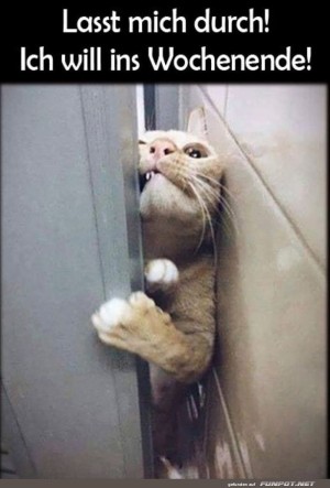 Lasst-mich-durch.jpg auf www.funpot.net