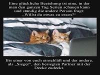 Katzenbinge und Kuscheldecke