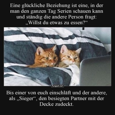 Katzenbinge-und-Kuscheldecke.jpg von Justus2002