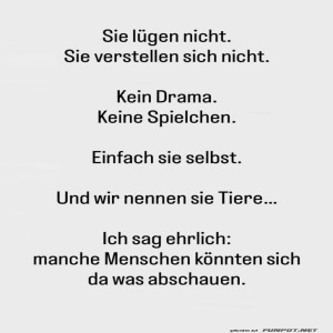 Die-wahre-Weisheit-der-Natur-erkennst-du-hier!.jpg von Tarik1967