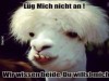 weiter