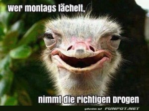 fun-Bild: Montags