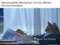 Katzenlogik: Schulden sind kein Problem!