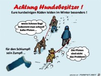 schlumpfi