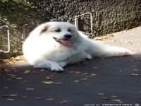 fuer Bildgenerator freigegeben 001431