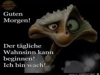 Guten Morgen 