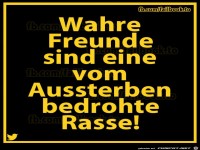 Wahre Freunde