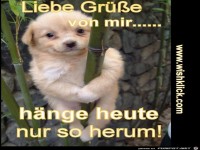 Liebe Gruesse