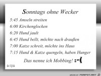 Sonntags ohne Wecker