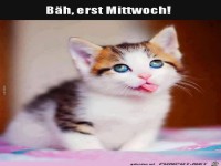 B�h, erst Mittwoch......