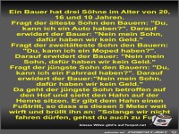 Ein Bauer hat drei Söhne im Alter von 20