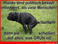 Hunde sind politisch besser