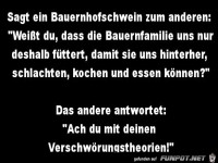 Verschwörungstheorie