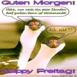 Freitag.jpg auf www.funpot.net