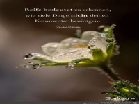 Reife bedeudet zu erkennen