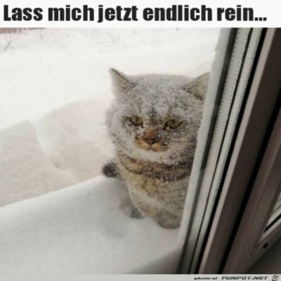 Lass-mich-rein.jpg von Amina