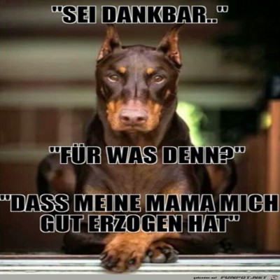 Sei-dankbar.jpg von Cedric