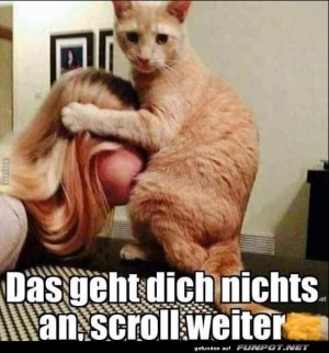 Scroll-weiter.jpg auf www.funpot.net