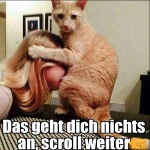 fun-Bild: Scroll weiter