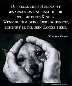 Die-Seele-eines-Hundes.jpg auf www.funpot.net