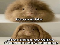 Von Flausch zu Luxusm�hne!