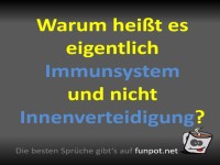 Immunstrategien leicht gemacht