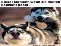 Dieser Blick, wenn sie dich packt