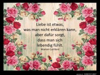 Liebe kann man nicht erkl�ren