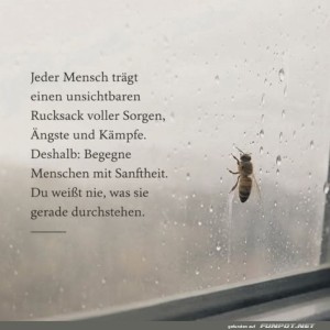 Bienenweisheit:-Sanftmut-zahlt-sich-aus!.jpg von Valentina