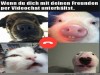 weiter