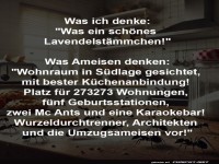 Ameisen suchen Wohnung mit Aussicht